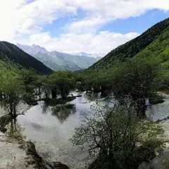 黄龍