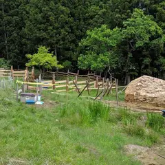 もものうらビレッジ