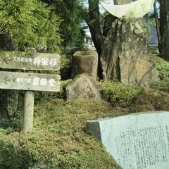 道の駅 みかわ 巨木の里