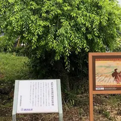 恵比寿神社・十二柱神社