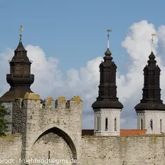 Visby domkyrkoförs.