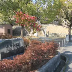 太子山公園