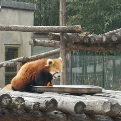 Beijing Zoo