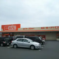 ザ・ビック富士荒田島店