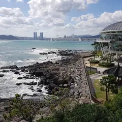 Dongbaek Park
