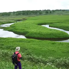 雨竜沼湿原