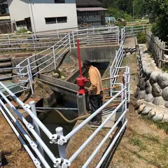 成政酒造(株)