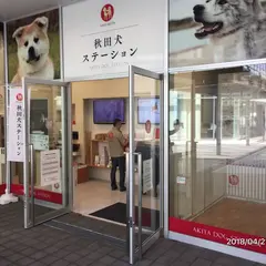 秋田犬ステーション