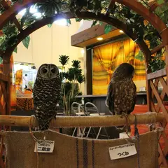 アニマルカフェ 不可思議