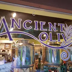 The Ancient Olive