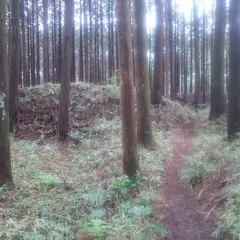 古川城跡
