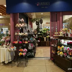 花慶