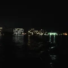 柴山潟花火
