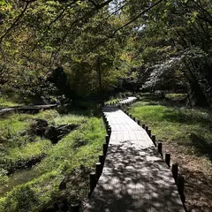 台原森林公園