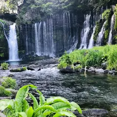 白糸の滝