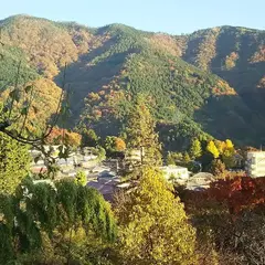 大平台