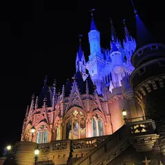 ＴＤＬ（バス）（羽田空港線・下り）