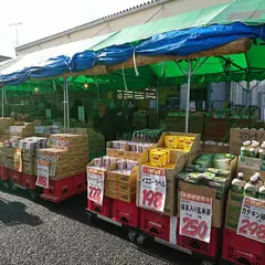 生鮮市場 浦和店 ㈲田中青果