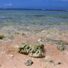 Gun Beach（ガン・ビーチ）