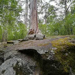 ポロングラップ国立公園