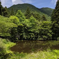 箱根の森