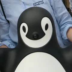 Glamorous Penguin