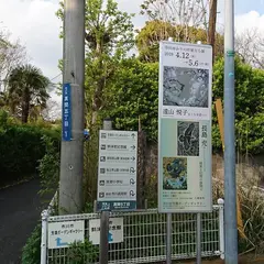 市川市芳澤ガーデンギャラリー