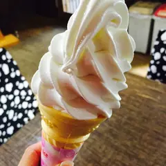 グレースコート