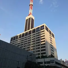 東京電力ホールディングス
