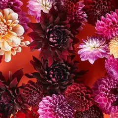 Aoyama Flower Market