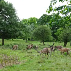 リッチモンド公園