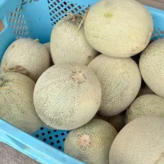 畑の食堂 あべ屋