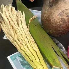 ココナッツファーム