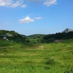 矢那川ダム
