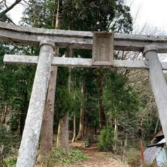 白山神社のカツラ