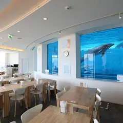 イルカの見えるレストラン