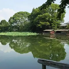 大沢池