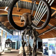 Yukon Beringia Interpretive Centre