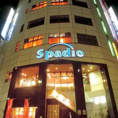 capsule&sauna spadio hotel 天然温泉スパディオ