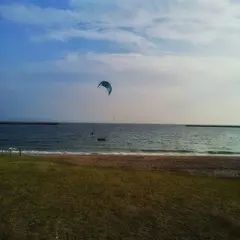 検見川の浜