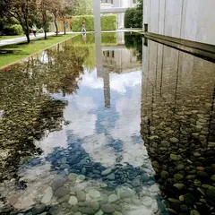 Barnes Foundation