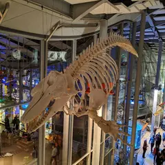 カリフォルニア科学アカデミー