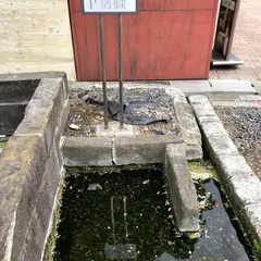 柳の井戸