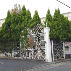 セントグラビス