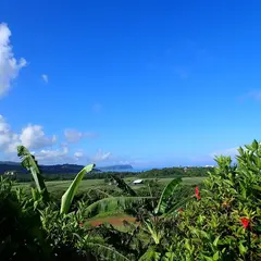 テラス西表島コンドミニアム terraceIRIOMOTEJIMA