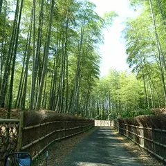 京都市洛西竹林公園