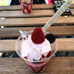 Berry農園山本