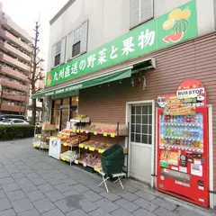 九州野菜せごどん都城