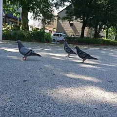 横堀公園