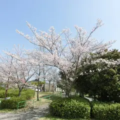 滝ノ水川公園